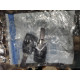 Щітки електромотора Carrier Supra / Zephyr / Xarios / Mistral  (54-60006-30) Thermo King (7101824)