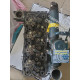 Головка блока. Прокладка ГБЦ Kubota Carrier Z400 Z482 D600 D662 D722 D902 D905 D1105 V1505 V1203 V3300 V3307