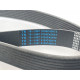 Ремінь приводний компресора Thermo King Yanmar 3.95 XDS / TS-500 / TS-600 / Spectrum TS (78-1067 / 9124C42H73 / 0283105)