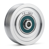 Ролик натягувача ременя Thermo King SLX / SLXe / SLXi (78-1623, 78-1847)